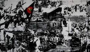 essay on liberation war